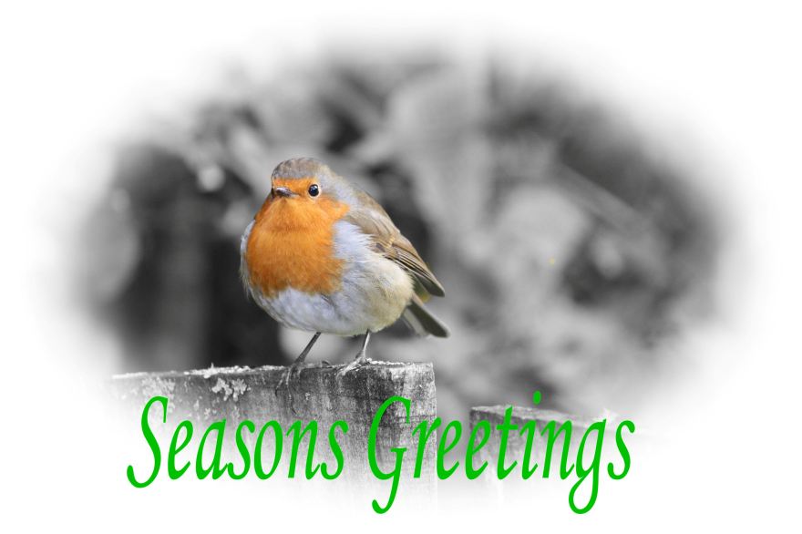 2012 Nov 11_1947_edited-1green