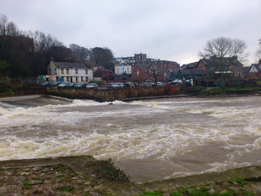 The Mill On the Exe