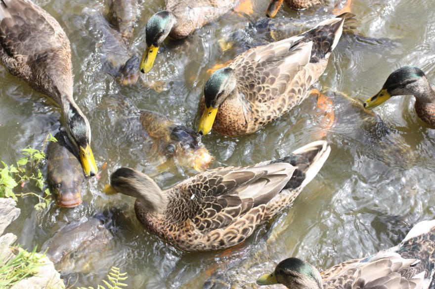 resolved to share the same space