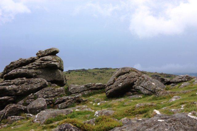 Near Hound Tor