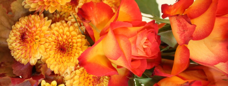 2012 Jul 28_0236crop