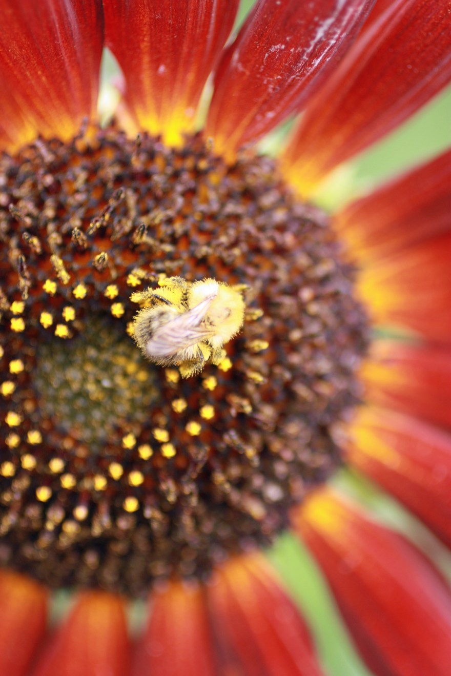 2013 Sep 15_7346_edited-1