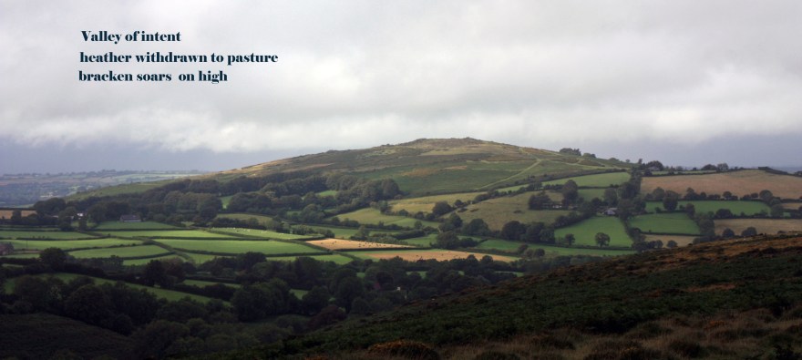 moor valley_edited-1