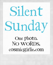 Silent-Sunday