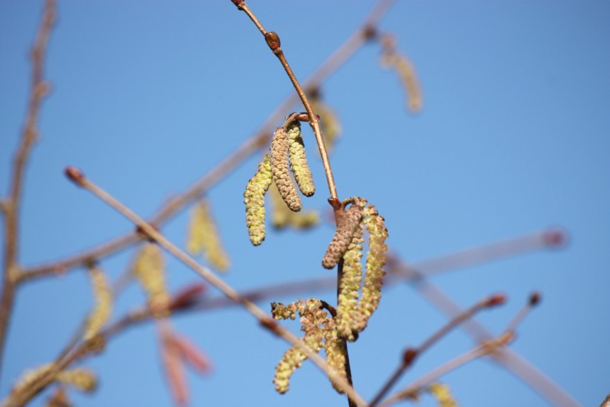 2013 Feb 02_3159_edited-1