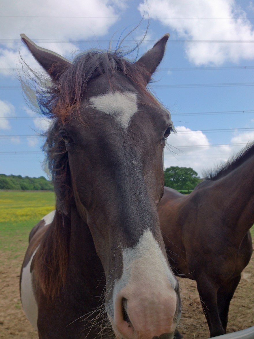 2013 Jun 14_5421_edited-1