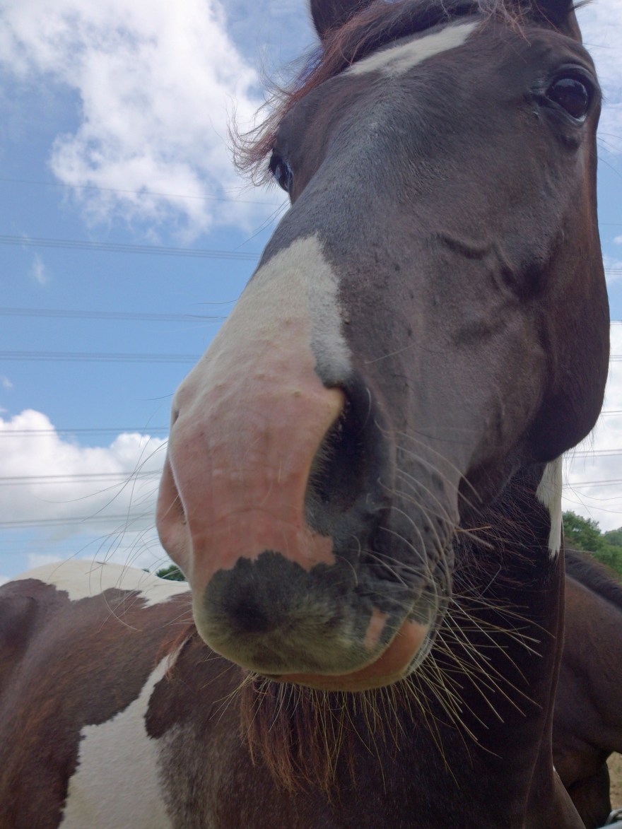 2013 Jun 14_5425_edited-1