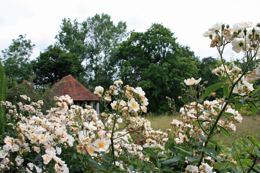 The boat house in the background