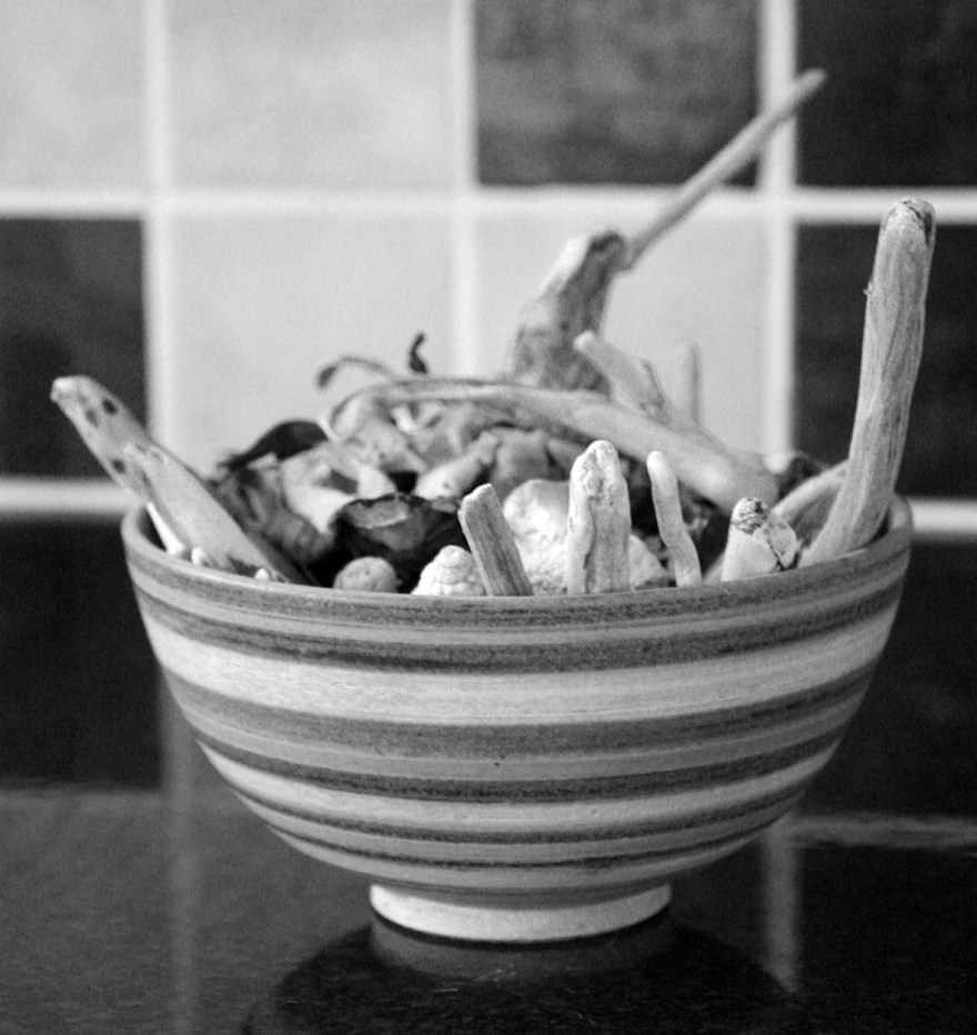 Driftwood sticks, shells and beach stones from all over