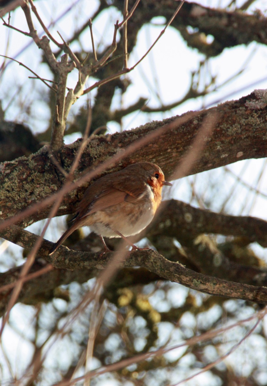 If there's no more, I'll be off then