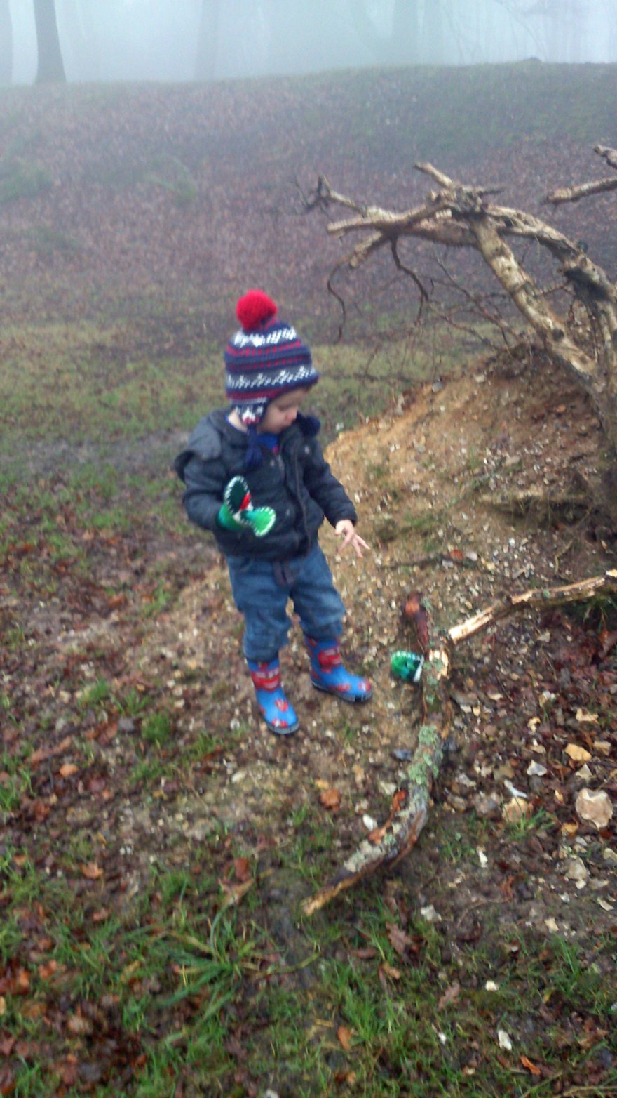 Okay, I'll just bring you  one stick