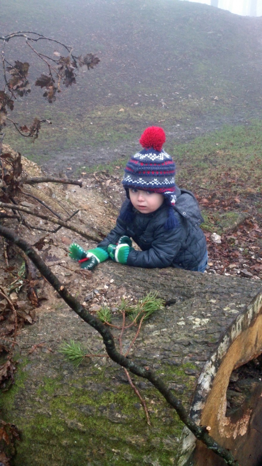 Can't you see I'm wearing my crocodile gloves and that's far more important!