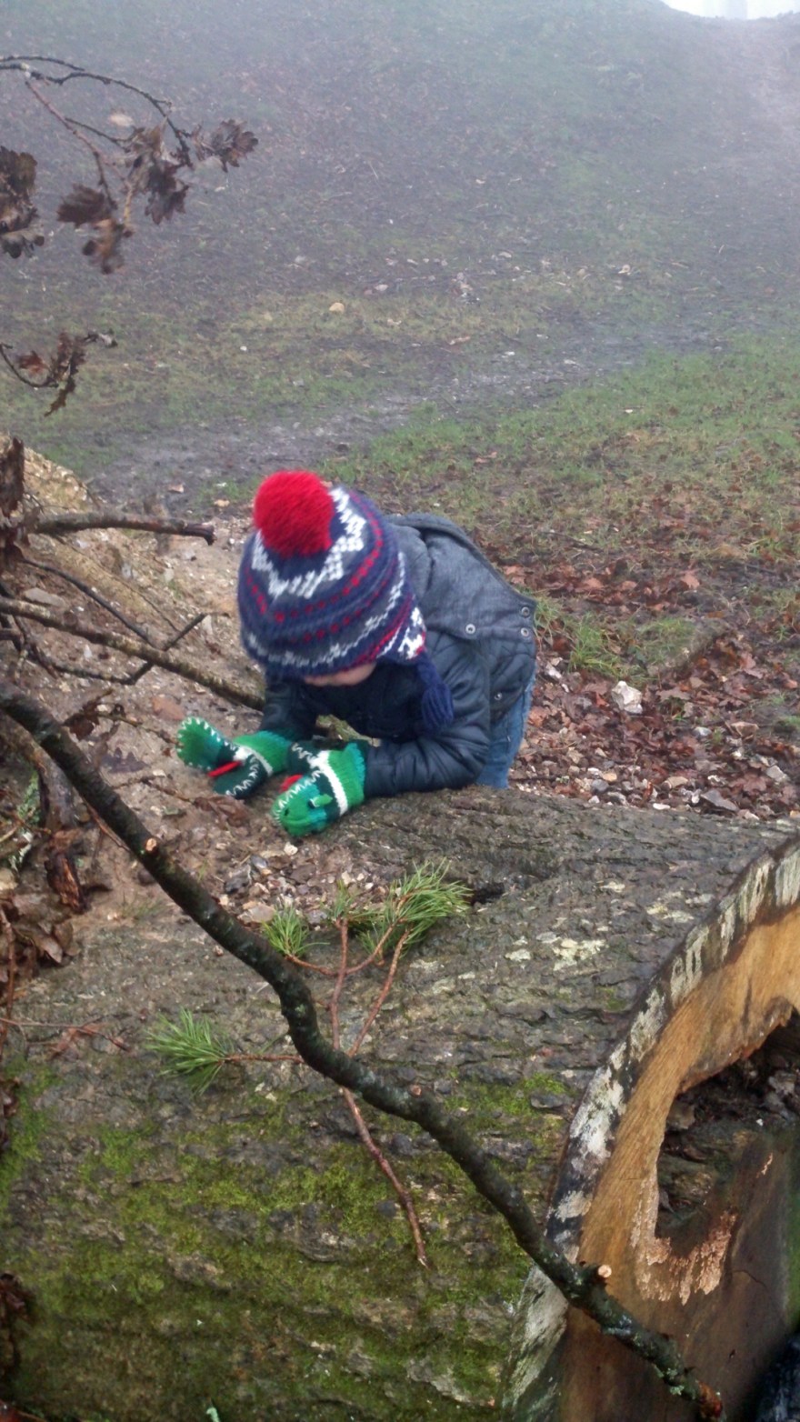 William thinks otherwise