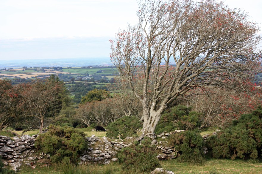 Containing livestock