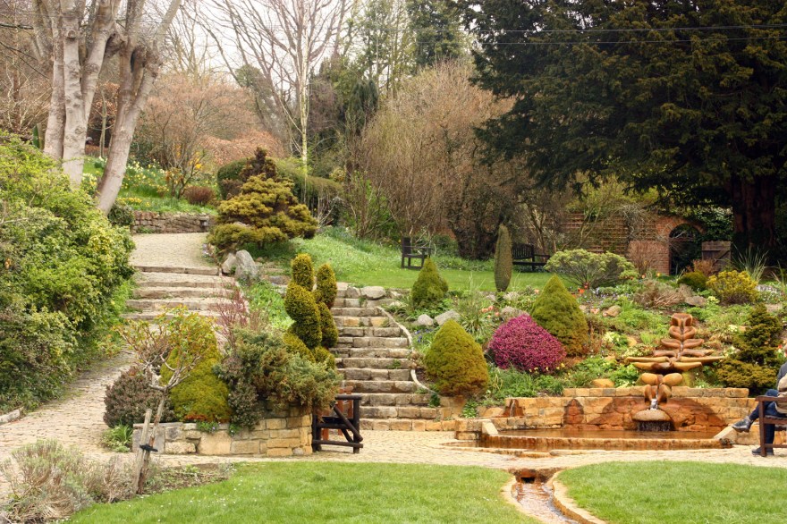 A view up through the garden