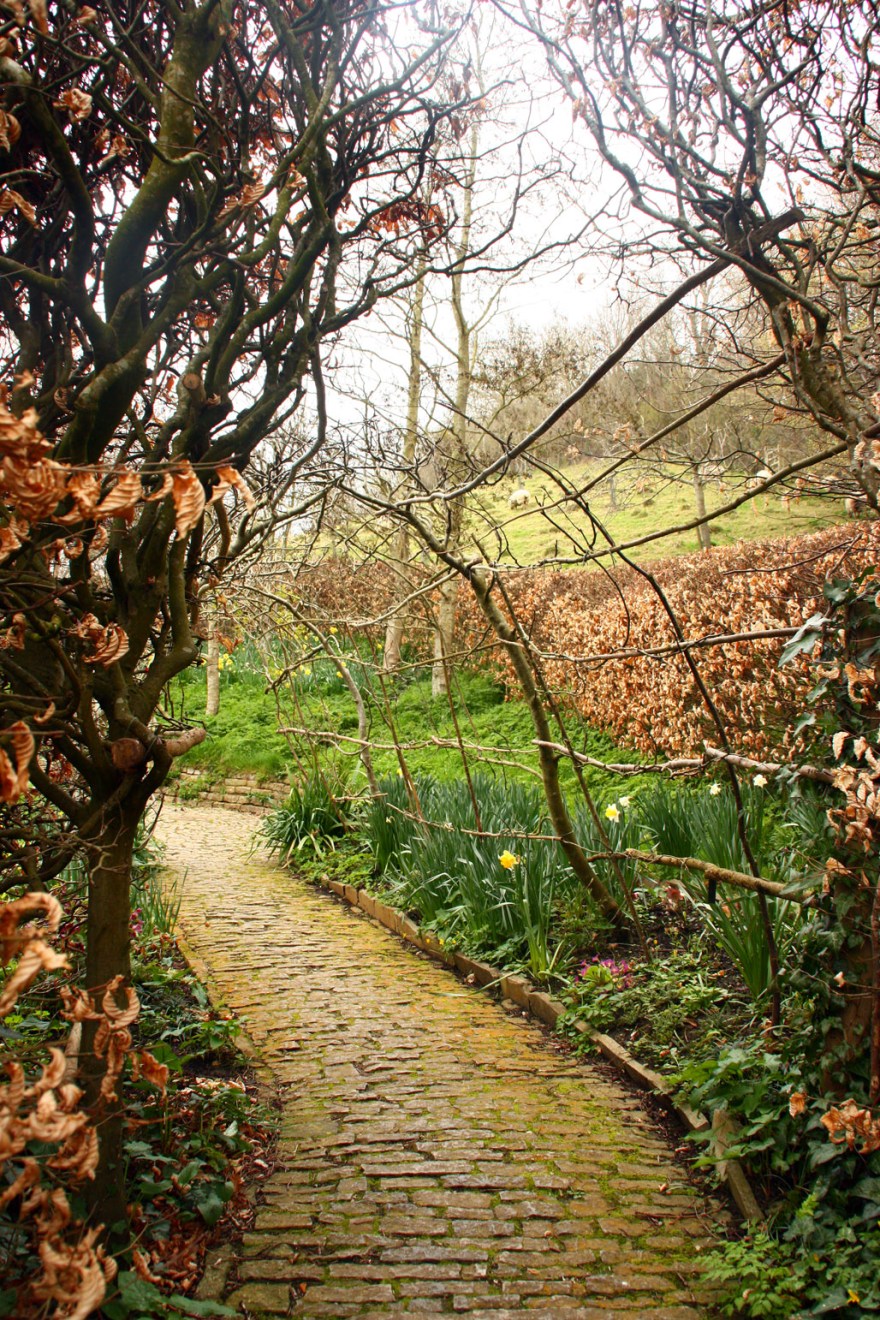 The path to the meadow