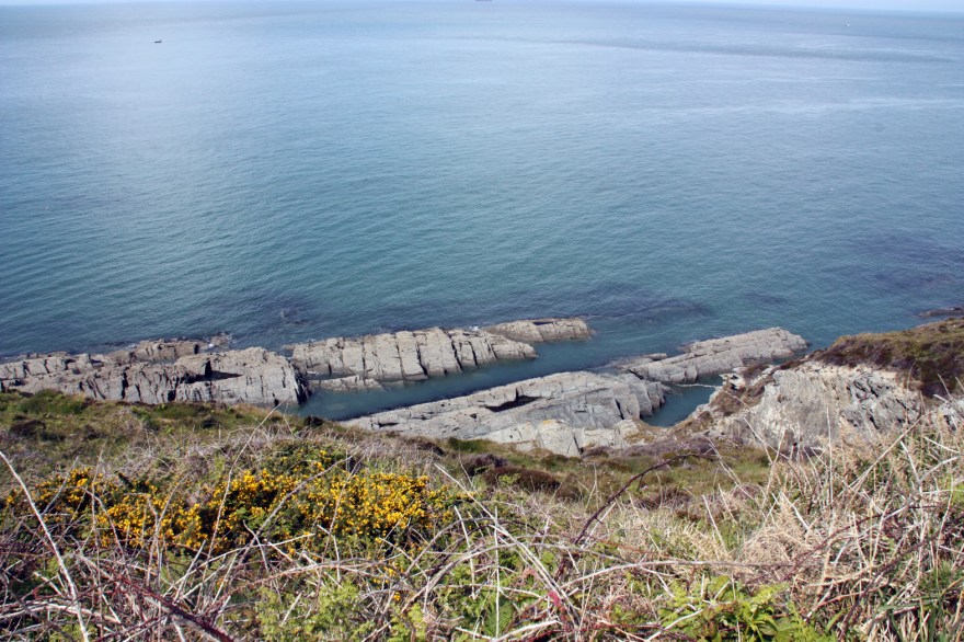 The seals didn't want to sunbath