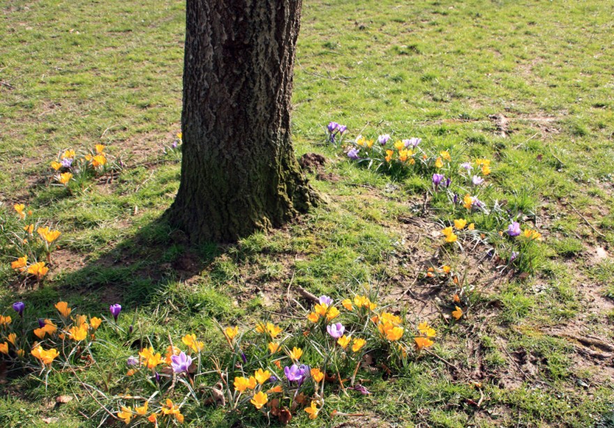 Little peeps of colour