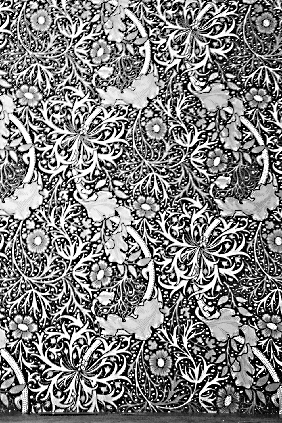 Paula's Black and White Sunday, Timeless – Lucid Gypsy